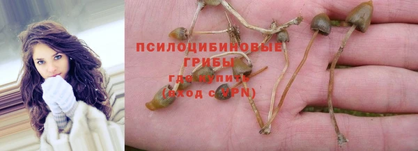молекула духа Краснослободск