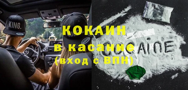 молекула духа Краснослободск