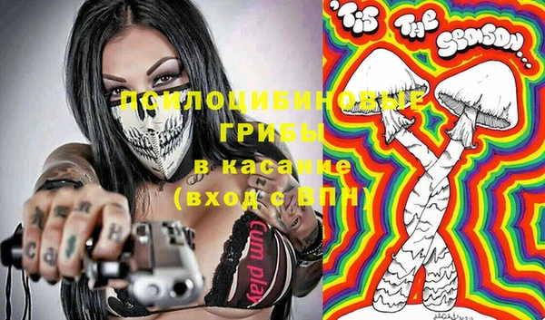 молекула духа Краснослободск