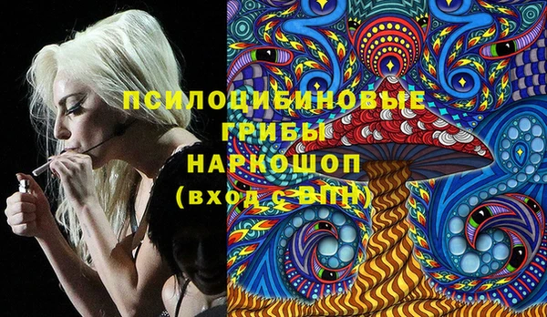 гашик Краснотурьинск