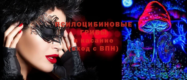гашик Краснотурьинск
