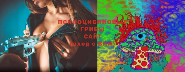 молекула духа Краснослободск