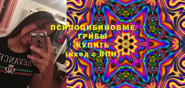 молекула духа Краснослободск
